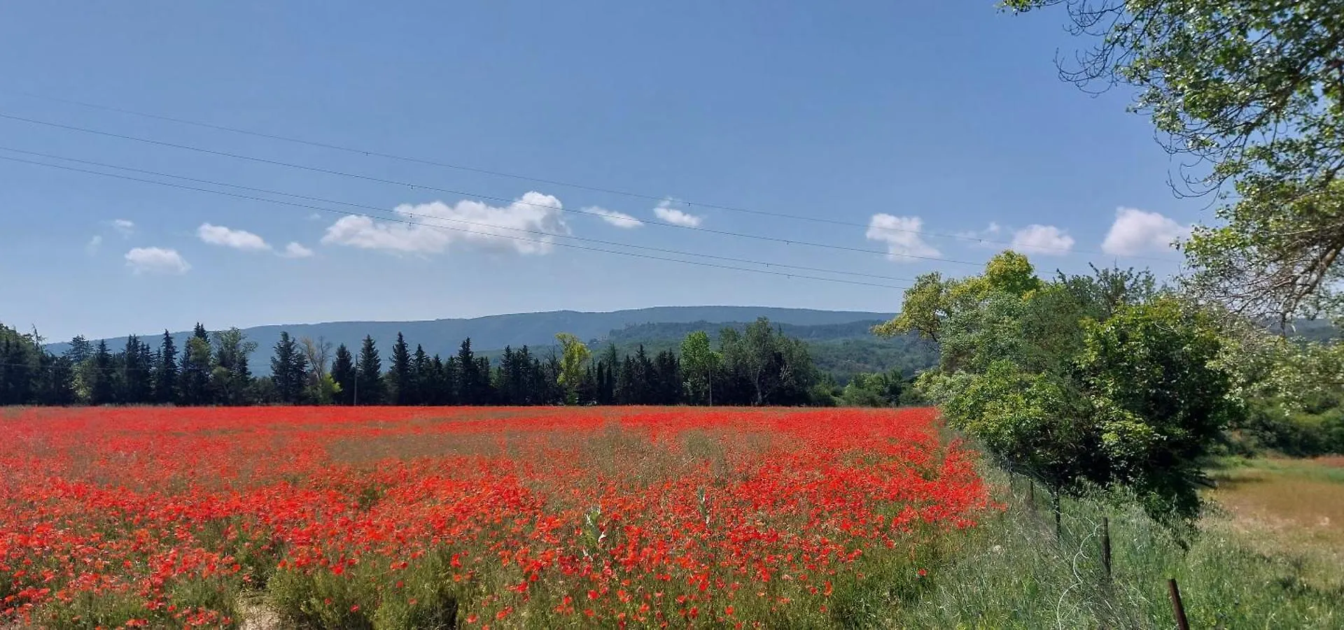 Διαμέρισμα Le Cosy Luberon - Gite Provencal Avec Piscine Viens