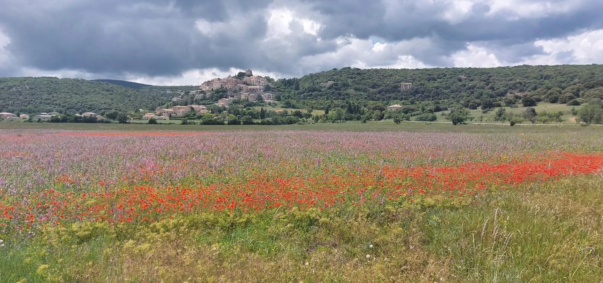 Le Cosy Luberon - Gite Provencal Avec Piscine Viens Διαμέρισμα