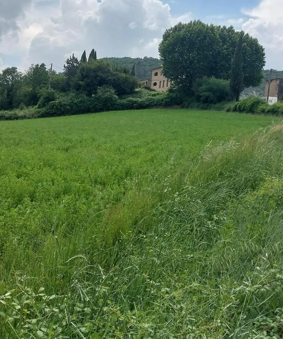 Le Cosy Luberon - Gite Provencal Avec Piscine Viens Διαμέρισμα