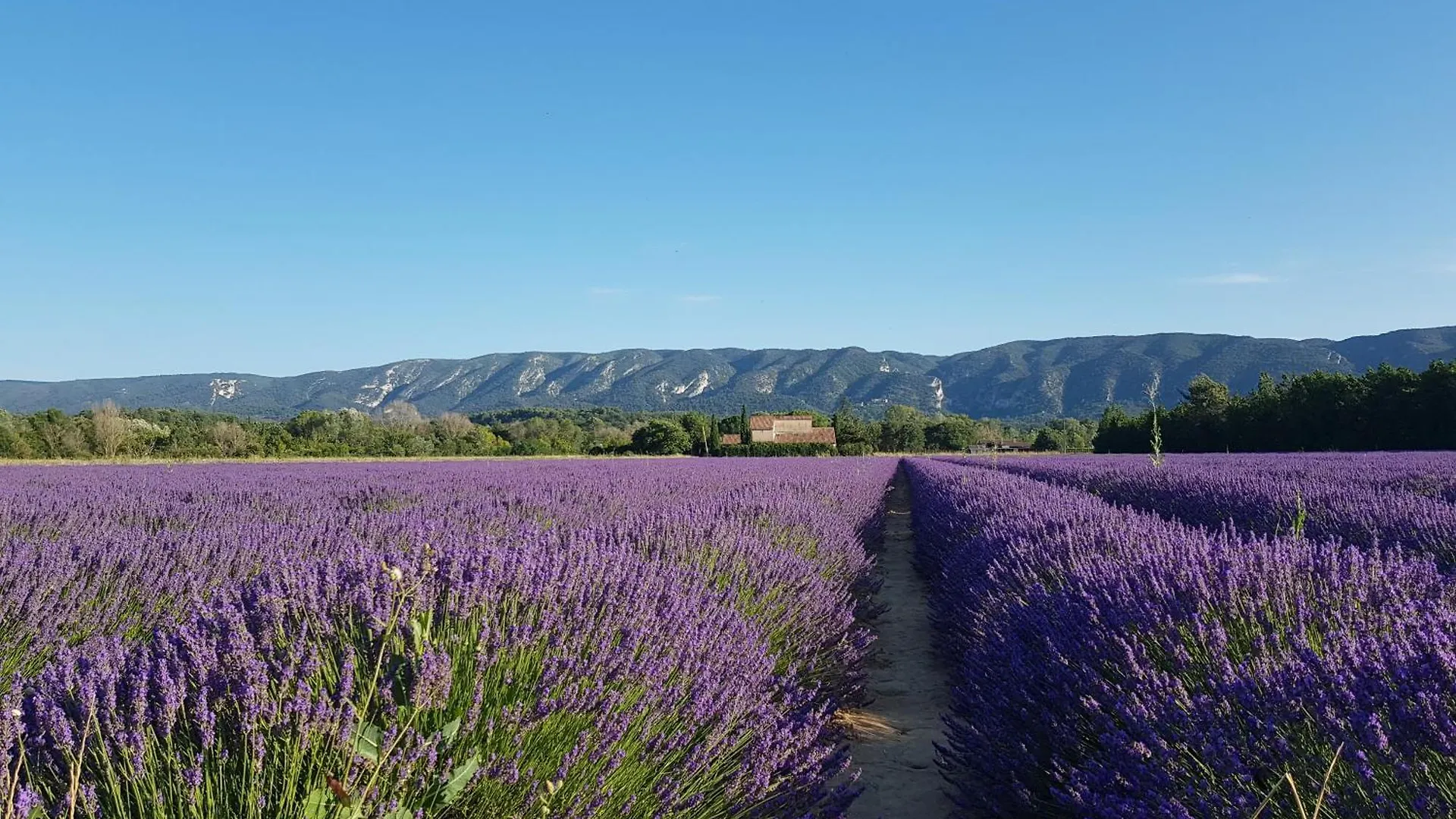 Le Cosy Luberon - Gite Provencal Avec Piscine Viens